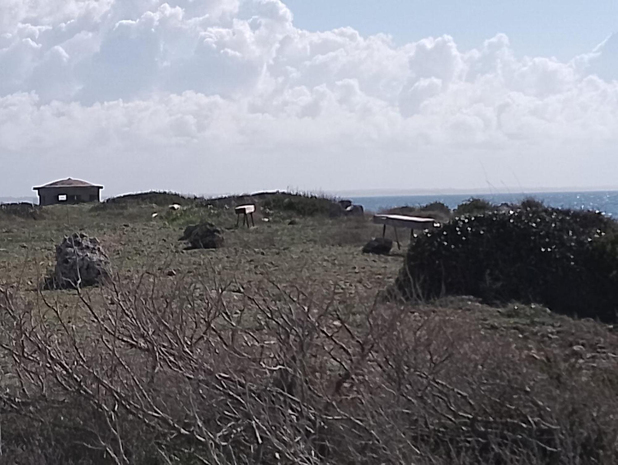 Punta Grossa Apartments By My Home Apulia Torre Lapillo Bagian luar foto